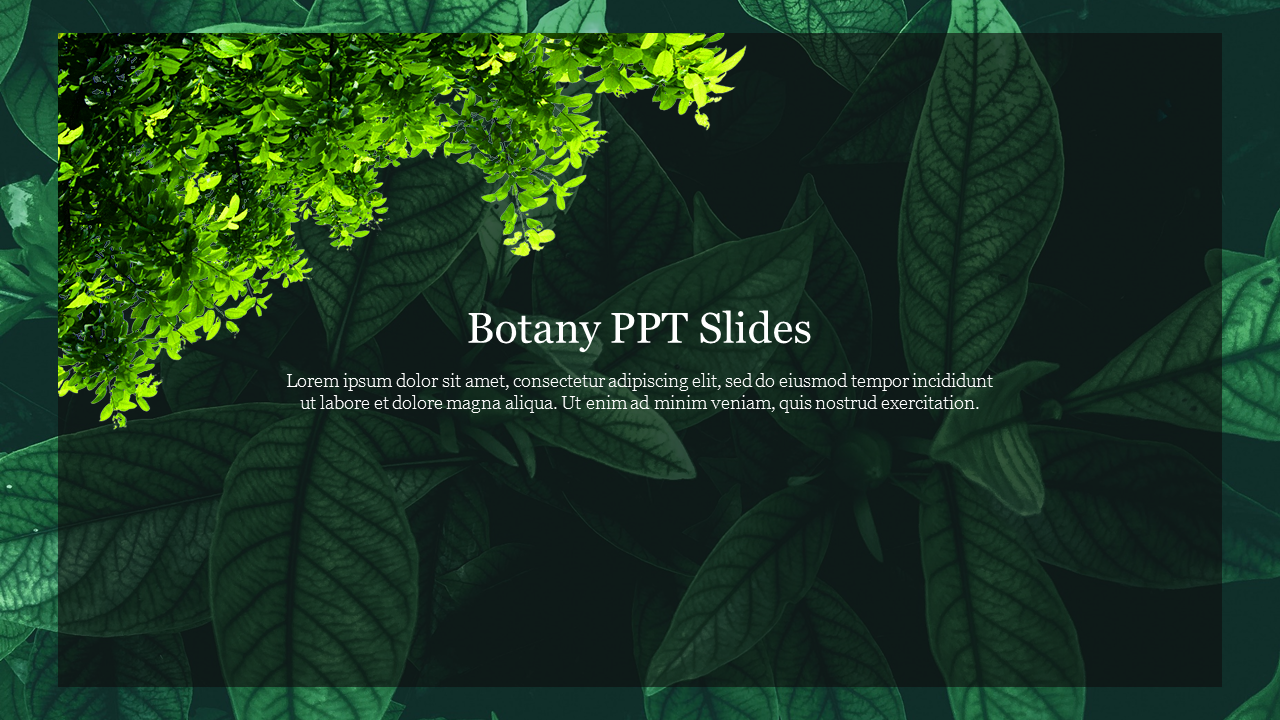 Ever-Green One Node Botany PPT Slides For Presentation